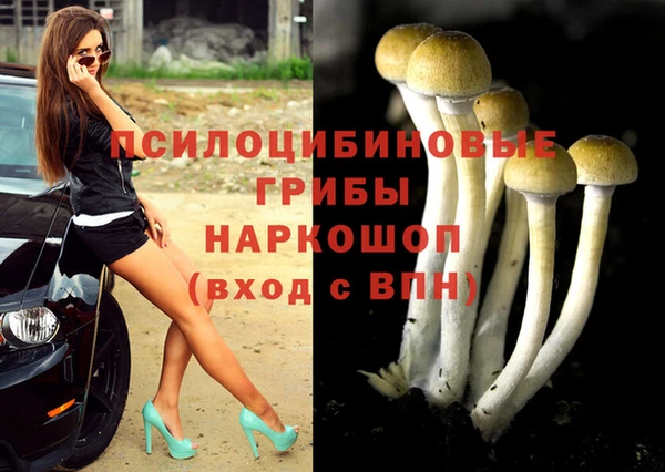 а пвп мука Осинники